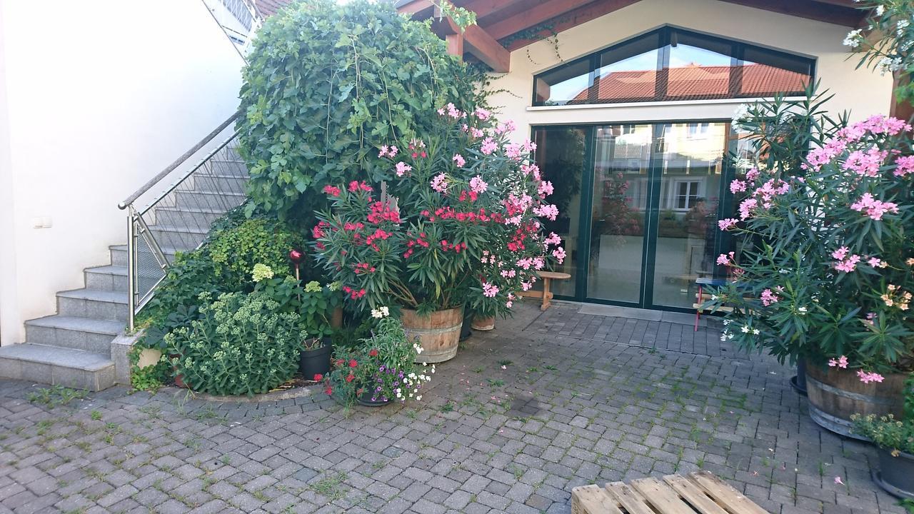 Weingut Familie Bauer Grossriedenthal Exterior foto